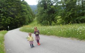 Berghof Voeglerbrand